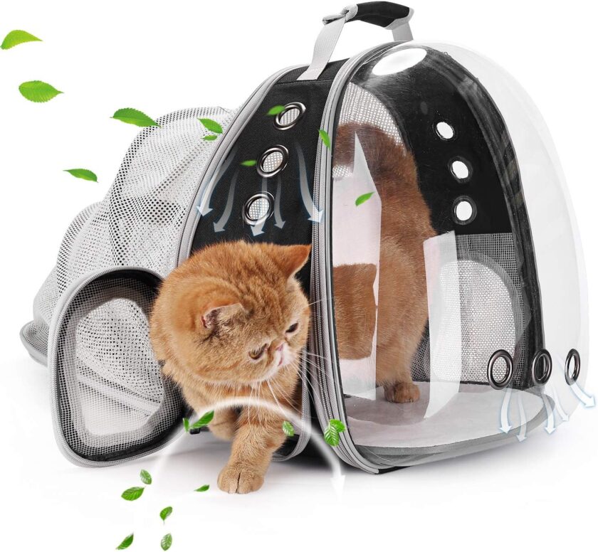 Cat Carrier Backpack, Bubble Expandable Backpack Carrier, Pets and Small Dogs,Airline-Approved, Designed for Travel, Hiking, Walking & Outdoor Use (Back Expandable-Black)